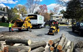 Best Sod Installation  in New Philadelphia, OH